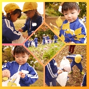 園外保育~落ち葉拾い🍂~